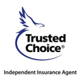Professional Independent Agents Association of Ohio, Inc. (PIAA) linked logo